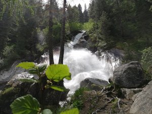 Waldebenrundwanderung 