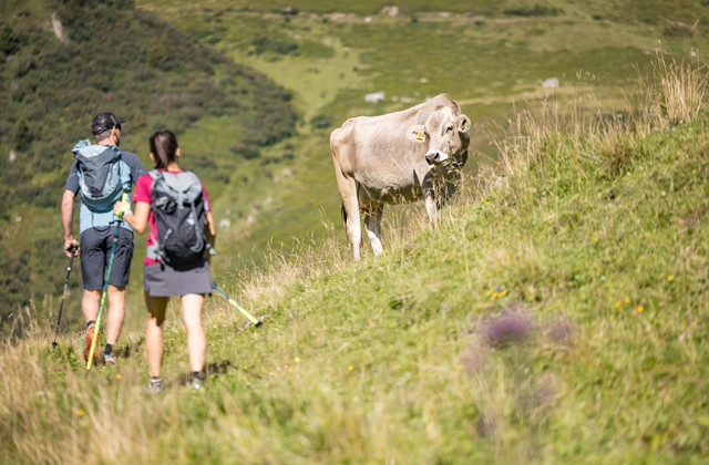 Wanderung im Zillertal Wanderung im Zillertal