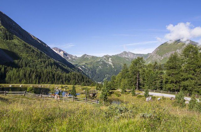 Ausblick in Tux-Finkenberg