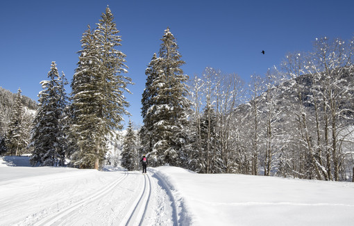 Cross-country skiing in Zillertal