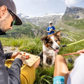 Gletscher Picknick