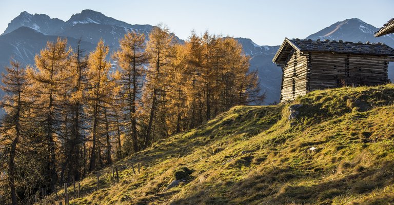 Herbsturlaub im Tuxertal