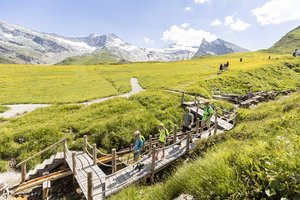 Wandern auf der Sommerbergalm