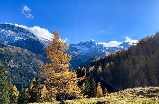 Goldener Herbst Goldener Herbst