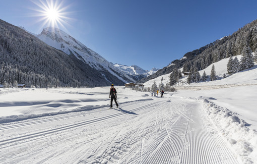 Cross-country skiing in Zillertal