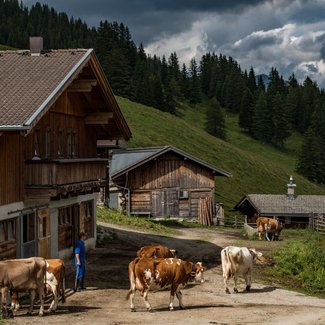 Almhütte Almhütte