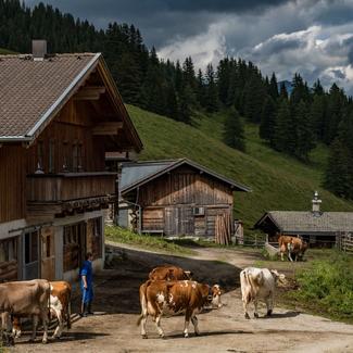 Almhütte Almhütte