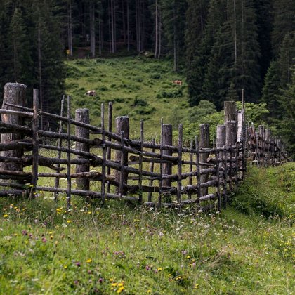 Holzzaun auf der Alm Holzzaun auf der Alm