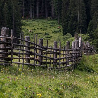 Holzzaun auf der Alm Holzzaun auf der Alm