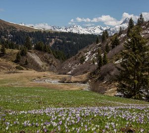 © Maren Krings 2016