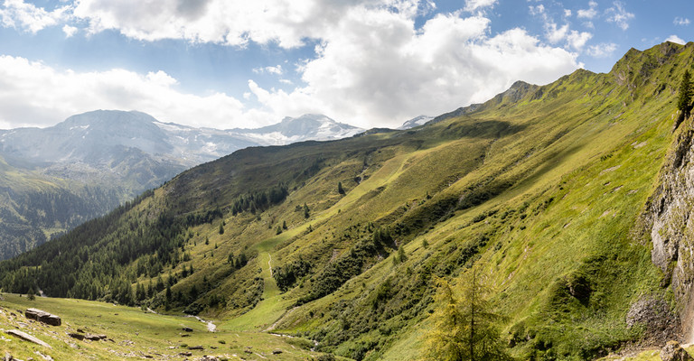 Sommerlandschaft Sommerlandschaft