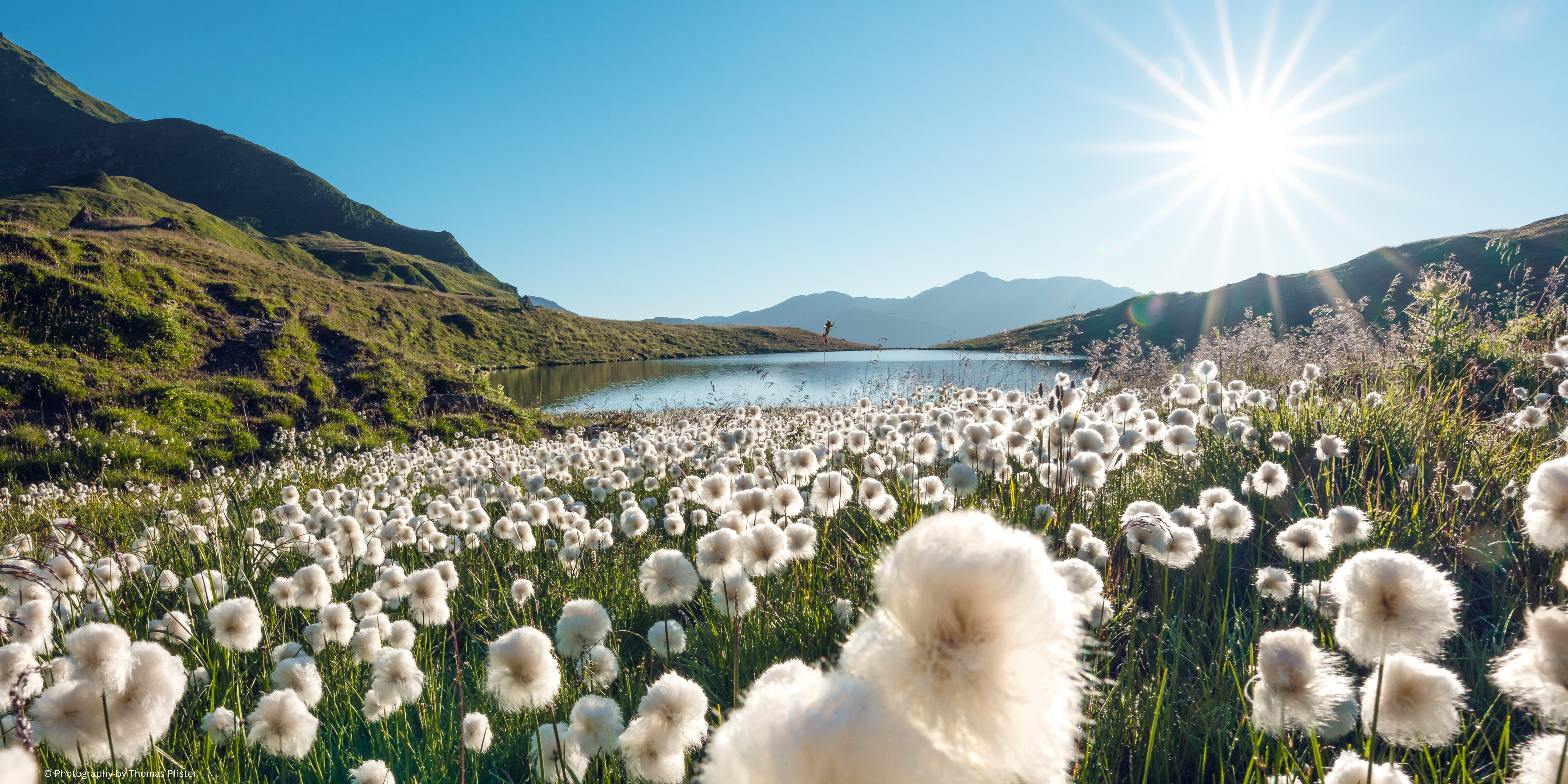 Bergsommer Bergsommer